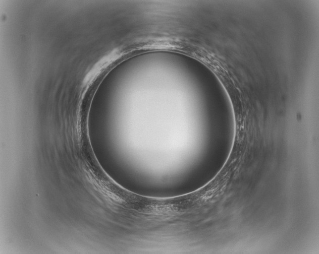 X0000059810296200510211124