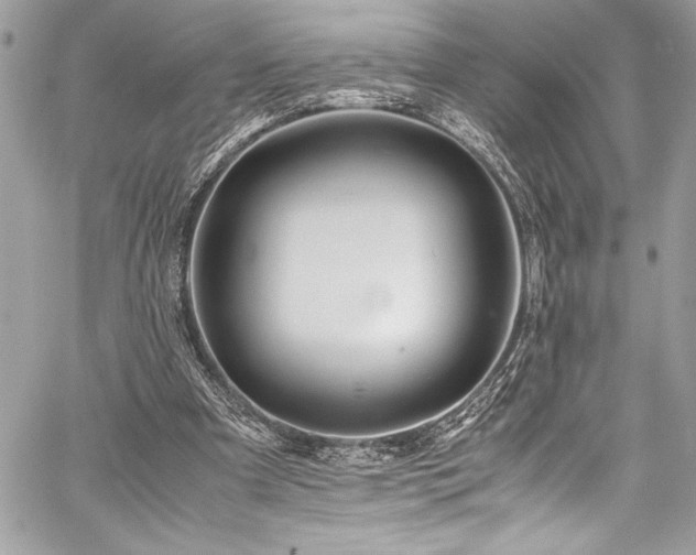 X0000059810297200510211123