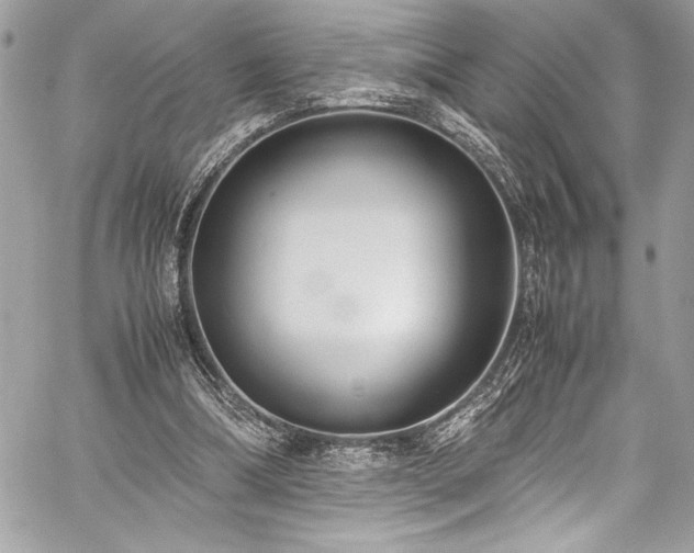 X0000059810298200510211123