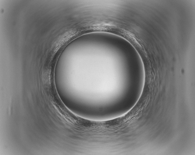 X0000059810299200510211123