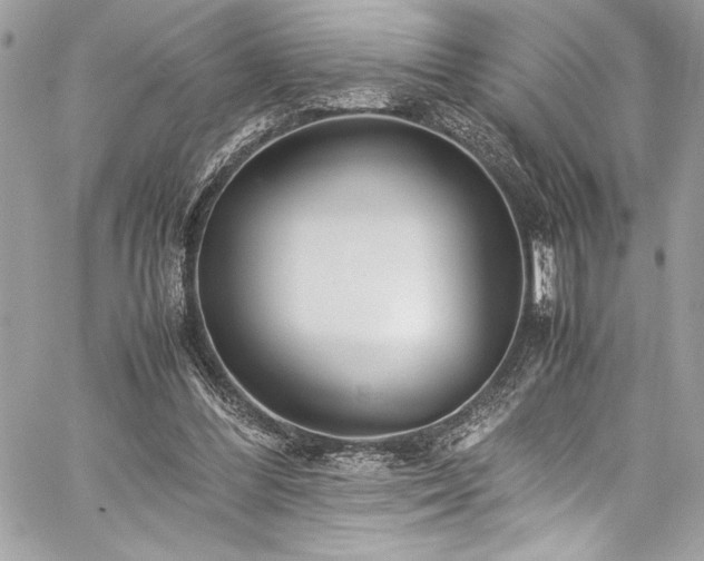 X0000059810300200510211123