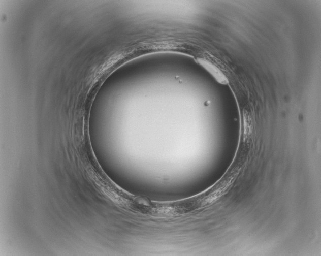 X0000059810301200510211123