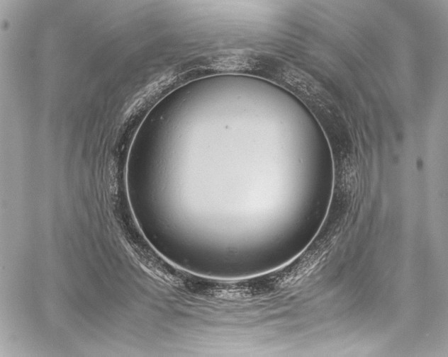 X0000059810303200510211123