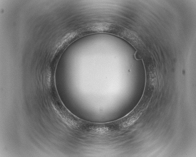 X0000059810304200510211123