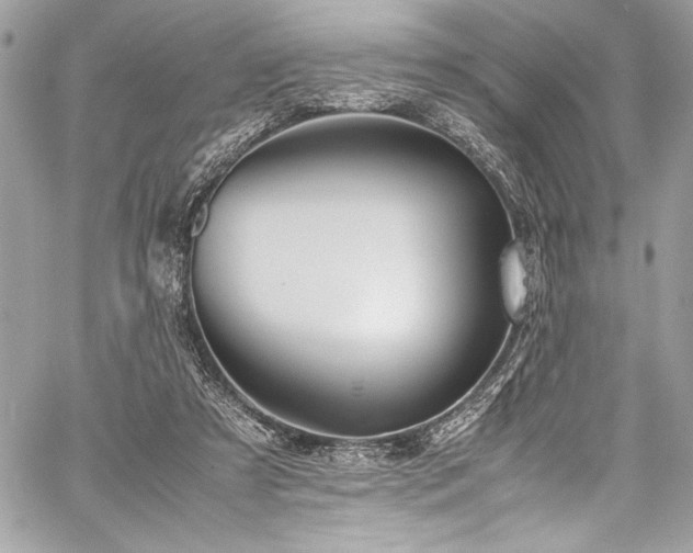 X0000059810305200510211123