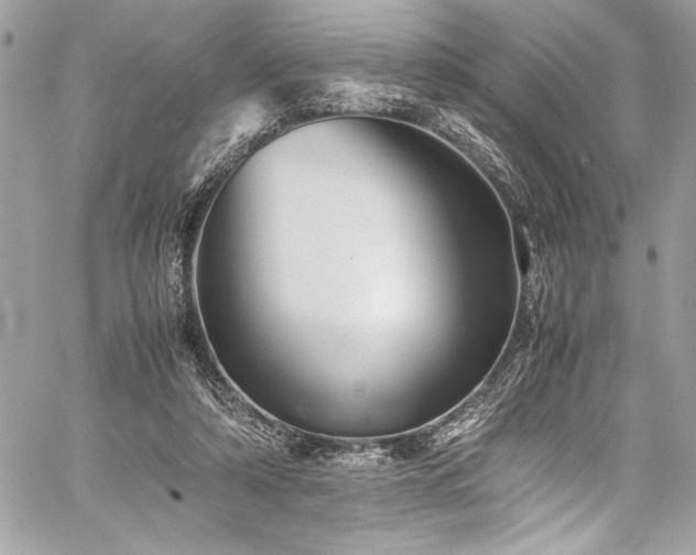 X0000059810306200510211123