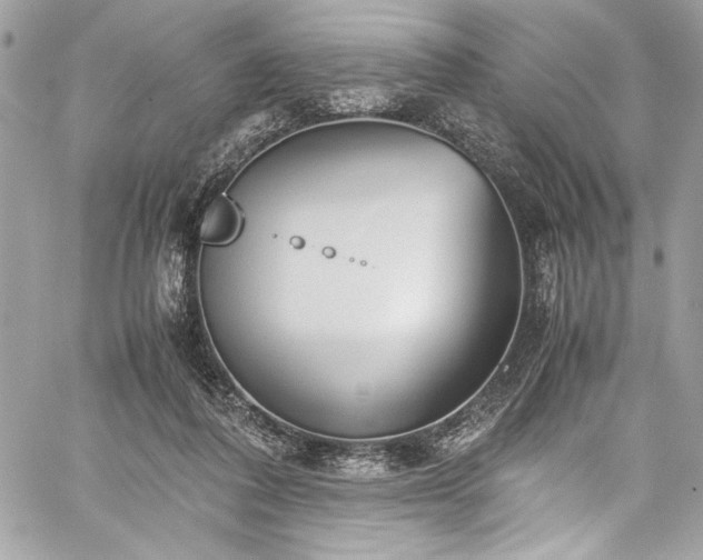 X0000059810308200510211123