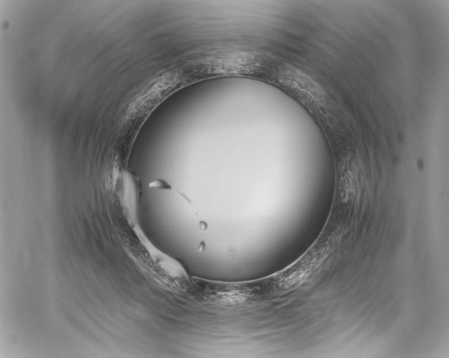 X0000059810310200510211123