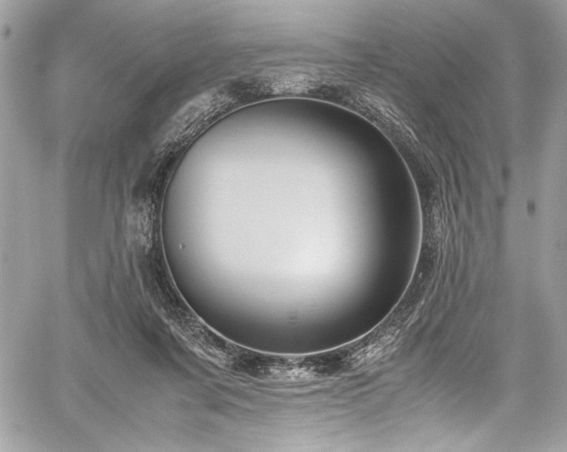 X0000059810311200510211123