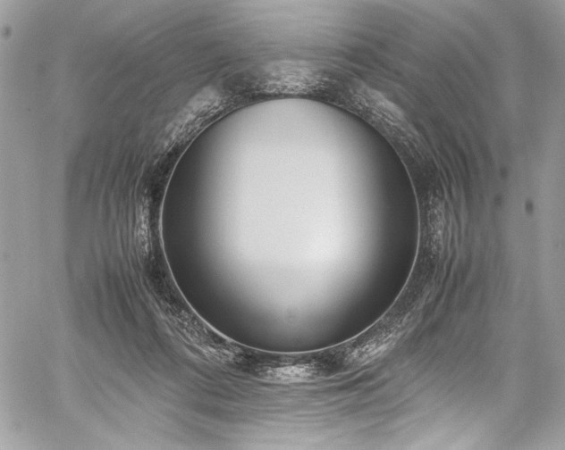 X0000059810312200510211123