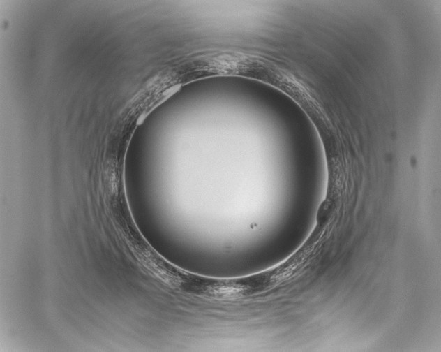 X0000059810313200510211123