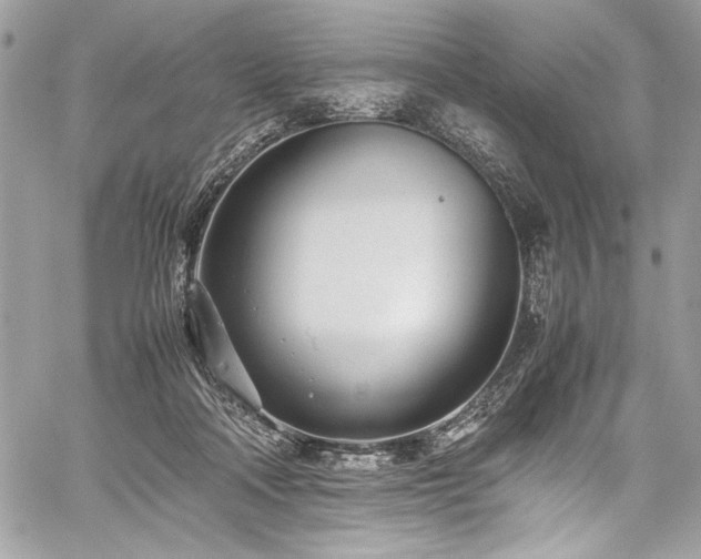 X0000059810314200510211123