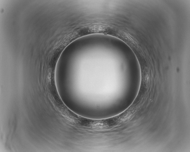 X0000059810315200510211123