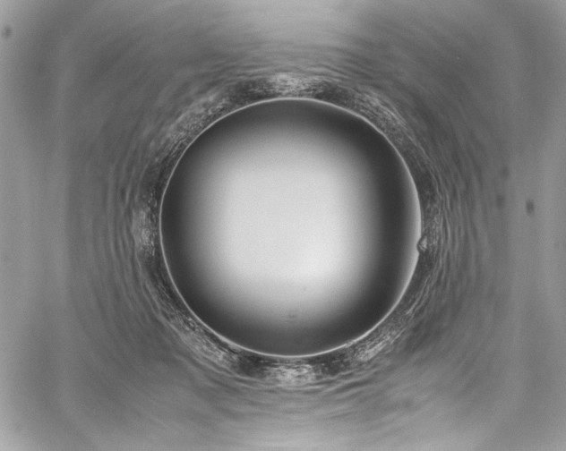 X0000059810317200510211123