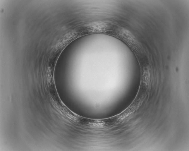 X0000059810318200510211123