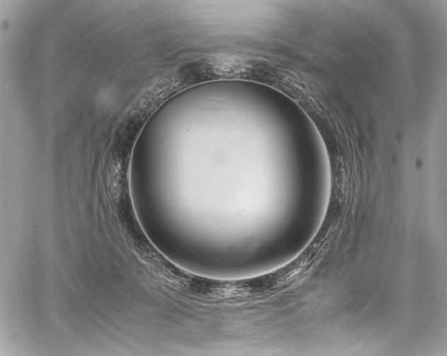 X0000059810319200510211123