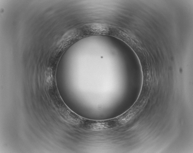 X0000059810320200510211123