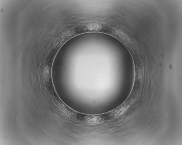 X0000059810321200510211123