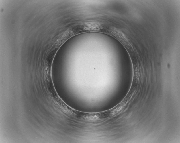 X0000059810322200510211123