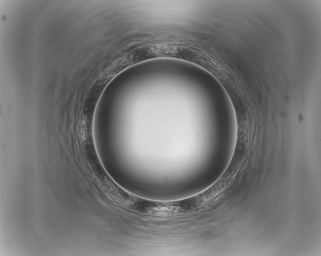 X0000059810323200510211123