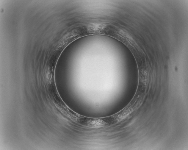 X0000059810324200510211123