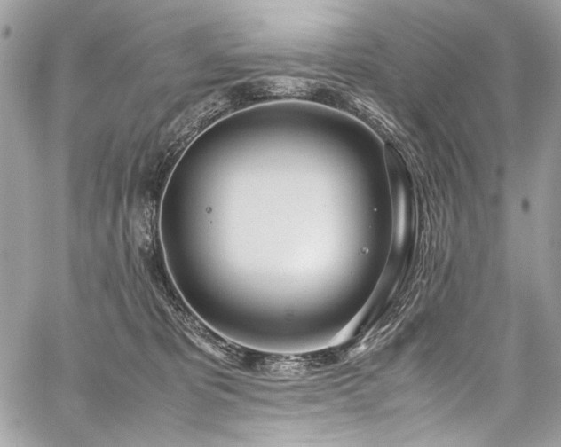 X0000059810325200510211123