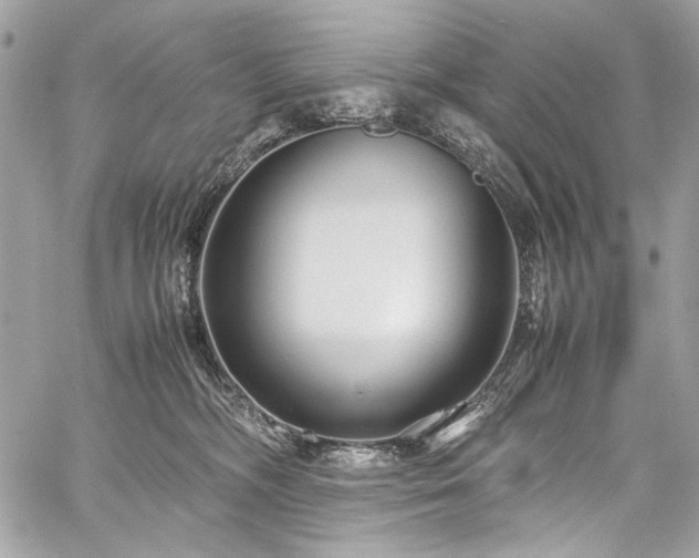 X0000059810326200510211123