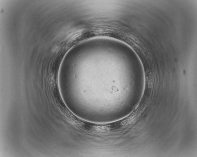 X0000059810327200510211123