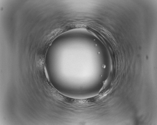 X0000059810329200510211123