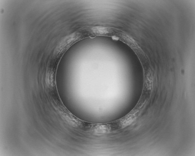 X0000059810330200510211123