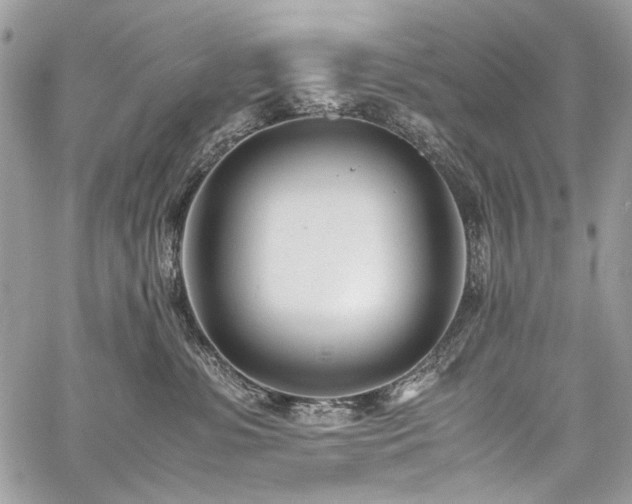 X0000059810331200510211123