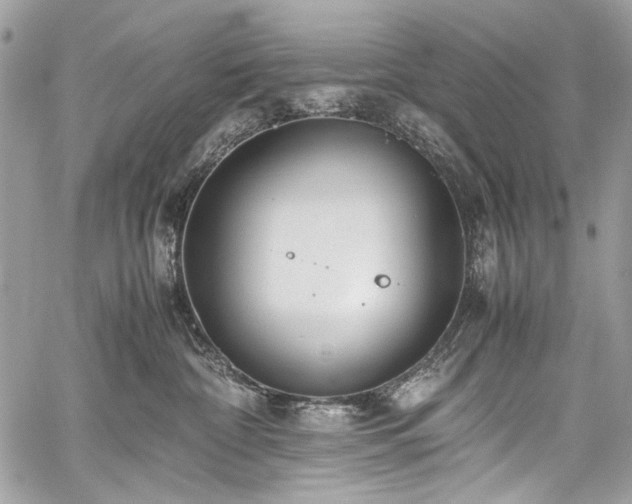 X0000059810332200510211123