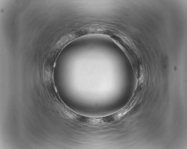 X0000059810333200510211123