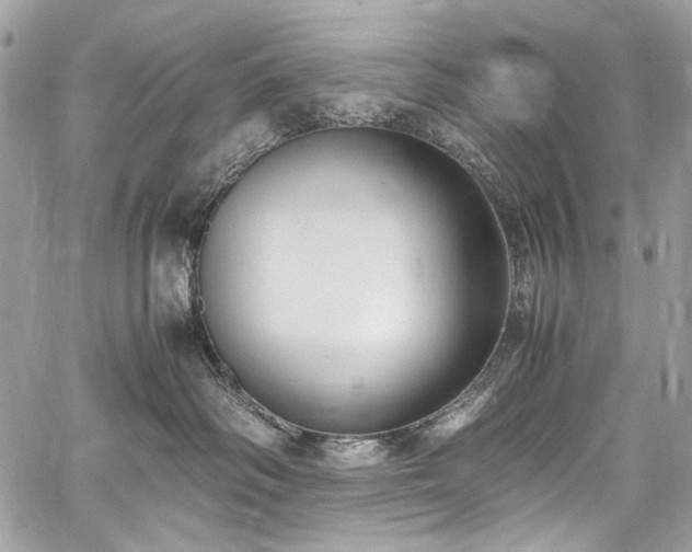 X0000059810334200510211123