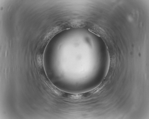 X0000059810335200510211123