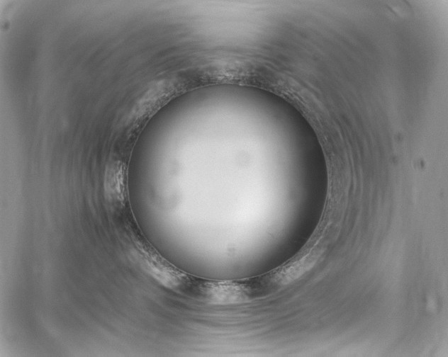 X0000059810336200510211123