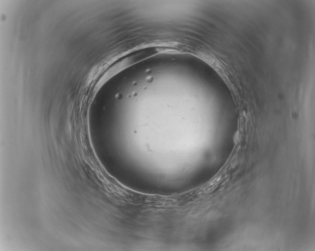 X0000059810337200510211122