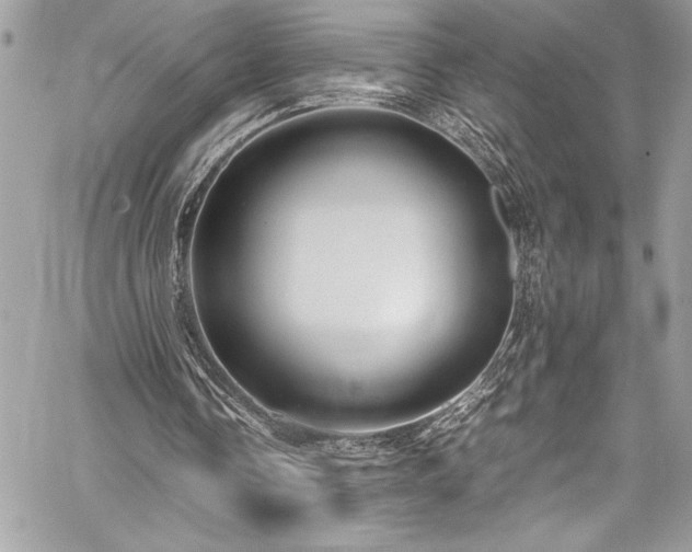 X0000059810338200510211122