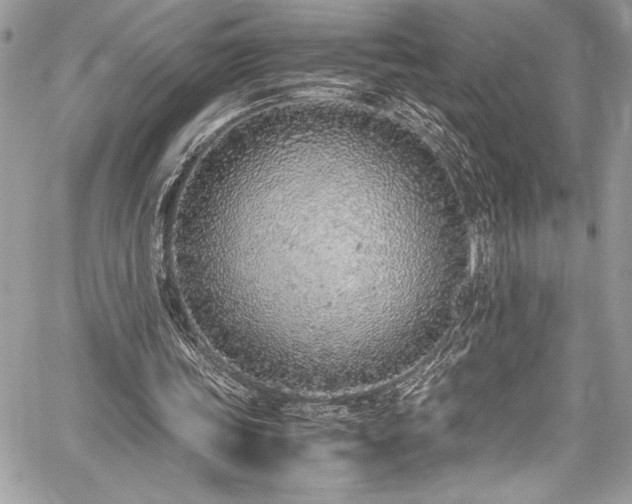 X0000059810339200510211122