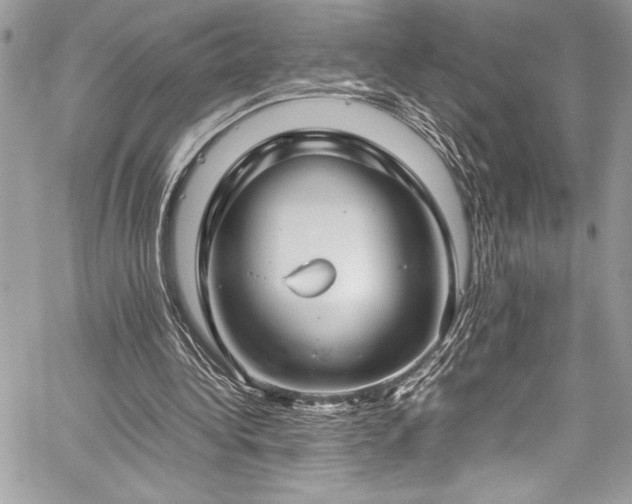 X0000059810340200510211122