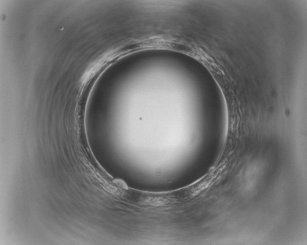 X0000059810341200510211122