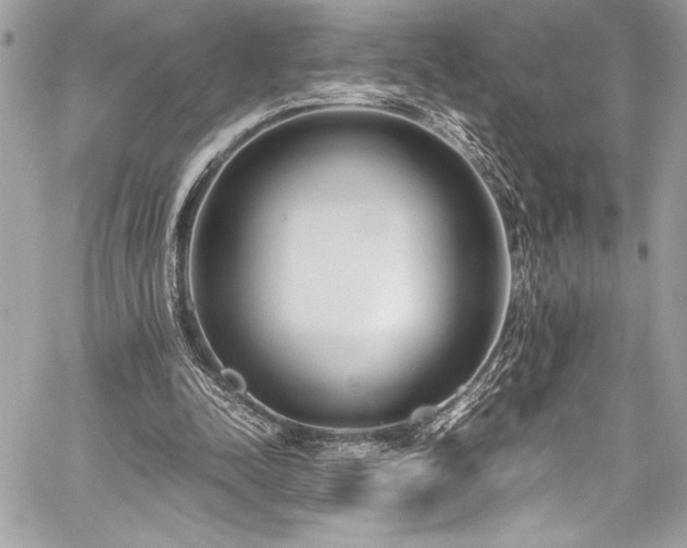 X0000059810342200510211122