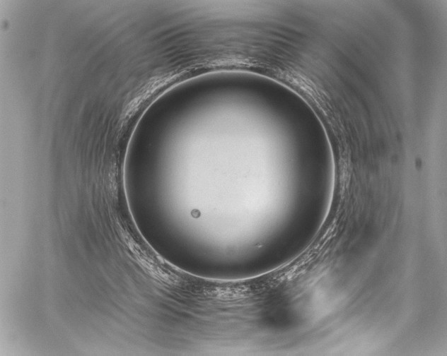 X0000059810345200510211122