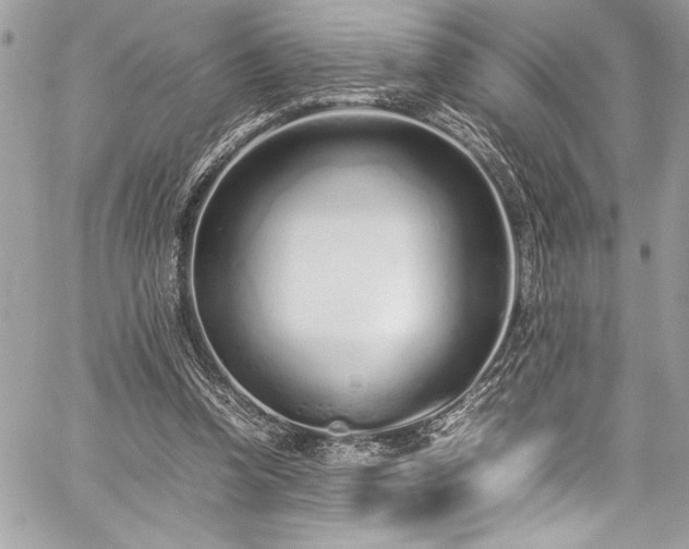 X0000059810346200510211122