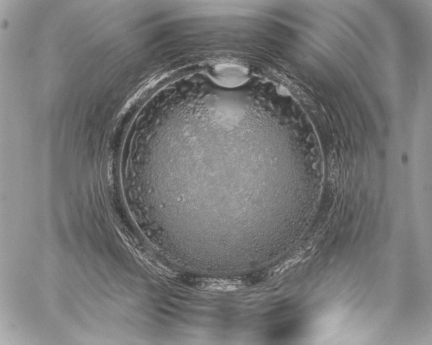 X0000059810347200510211122