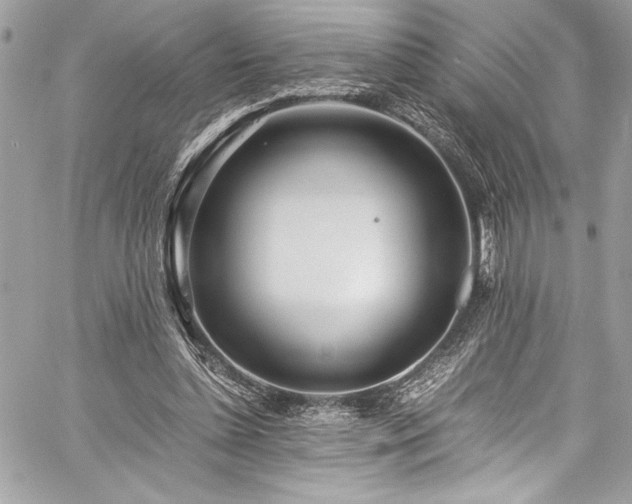 X0000059810348200510211122