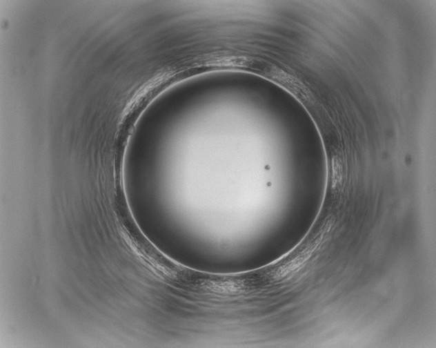 X0000059810349200510211122