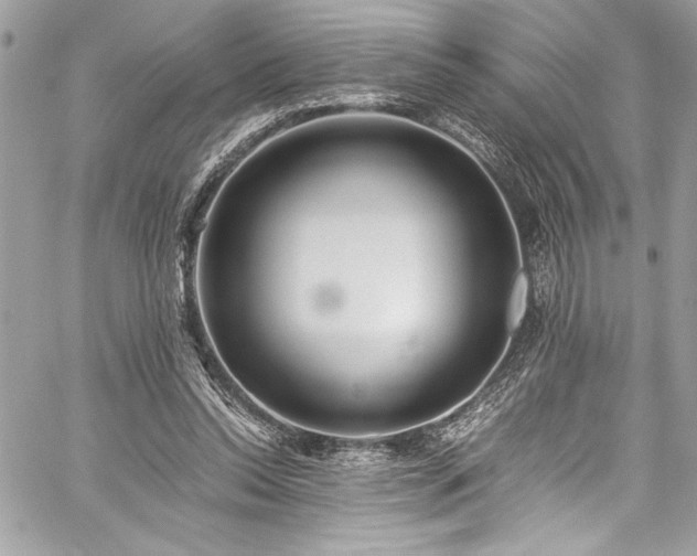 X0000059810350200510211122