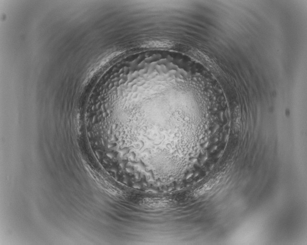 X0000059810351200510211122