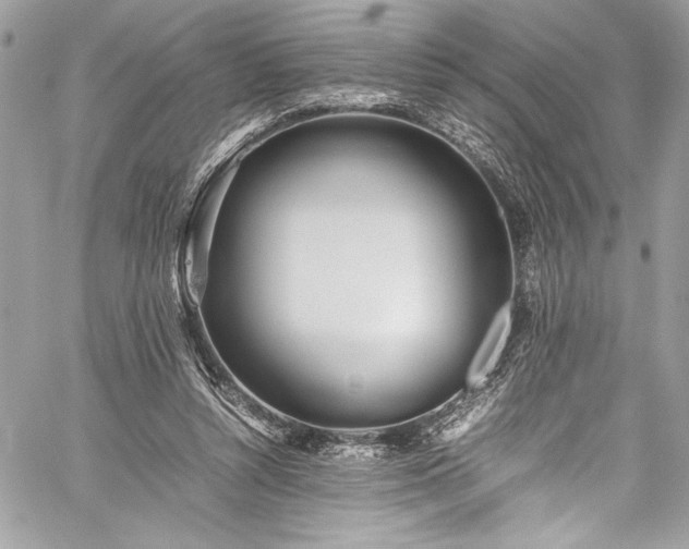 X0000059810352200510211122